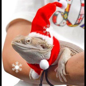 Bearded Dragon Clothes Christmas Costume Reptile   Small Animal Costume